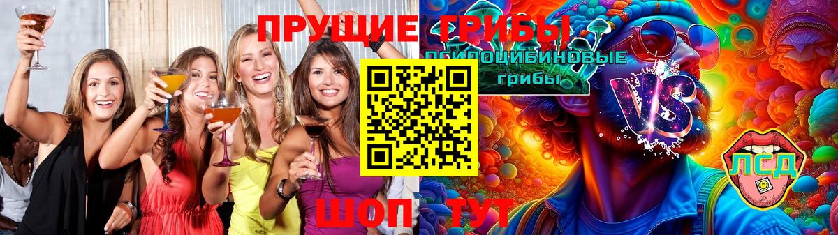 Донецк  Псилоцибиновые грибы GOLDEN TEACHER  Вход с VPN 